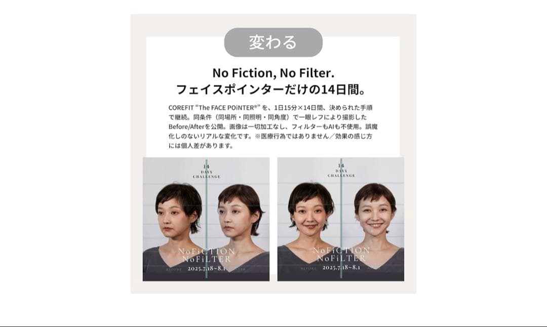 The FACE POiNTER フェイスポインター ペン型美顔器