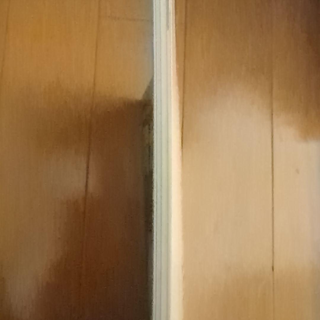 【超レア】胃がんperspective 3 2013 Vol.6 No.1