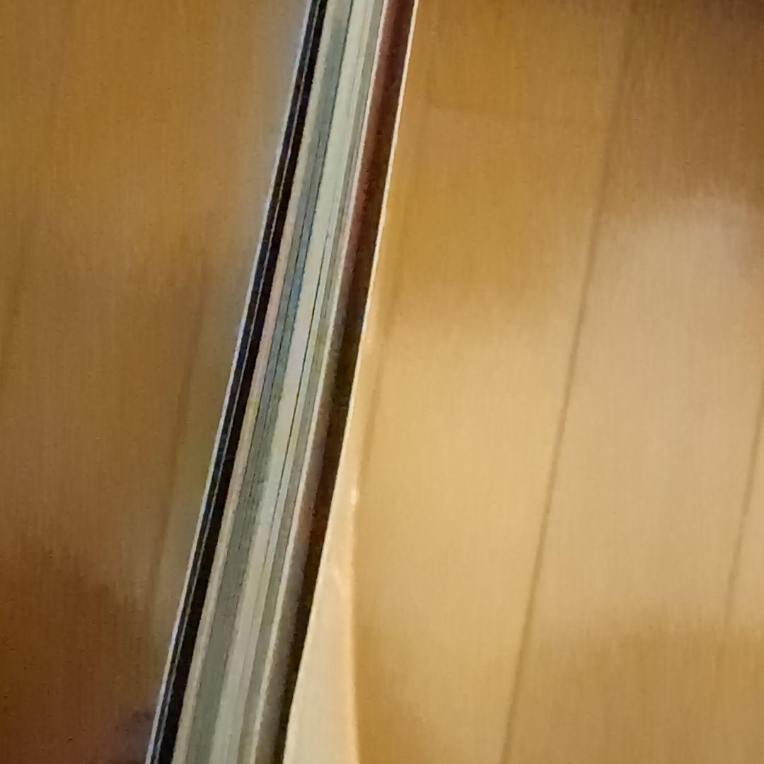 【超レア】胃がんperspective 3 2013 Vol.6 No.1