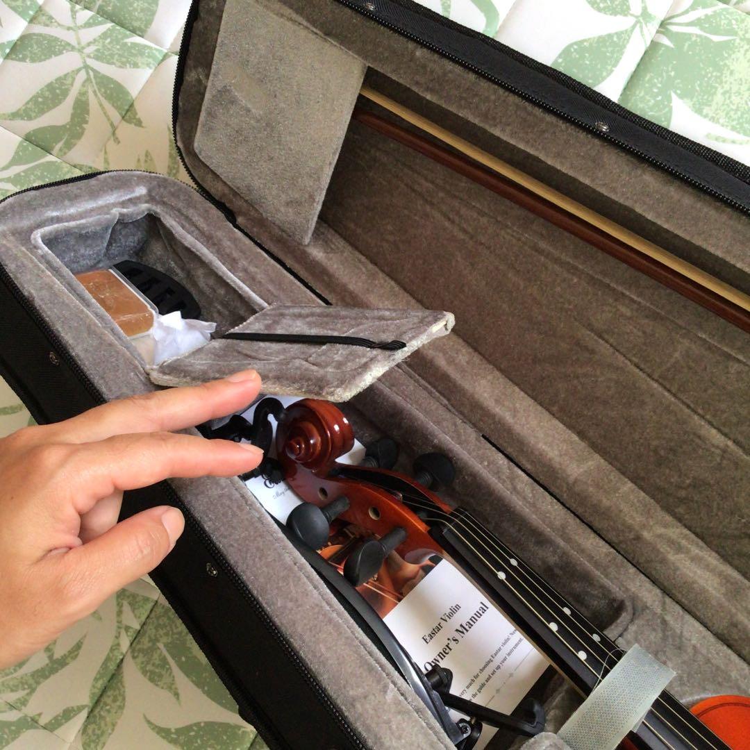 Eastarバイオリン 4/4 単板 ソリッド バイオリンセット 本体