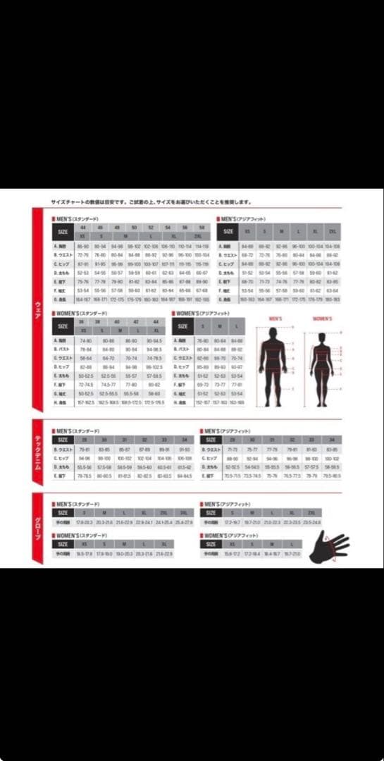 アルパインスターズ バイクジャケット冬/春秋、脱着インナー、プロテクター装備