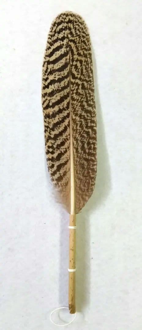 茶道具 羽箒 孔雀 くじゃく 左羽 炉用 新品 炭手前 炭道具 貴重