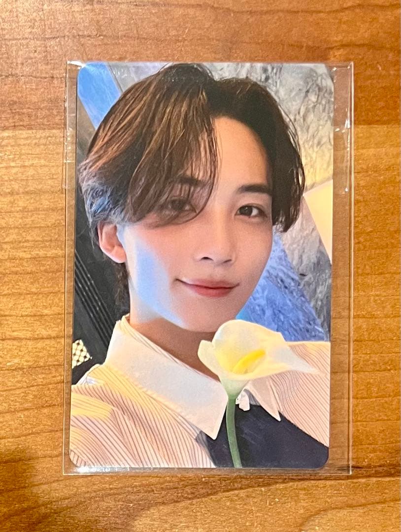 seventeen DREAM 東京ドーム 東京 限定 トレカ ジョンハン