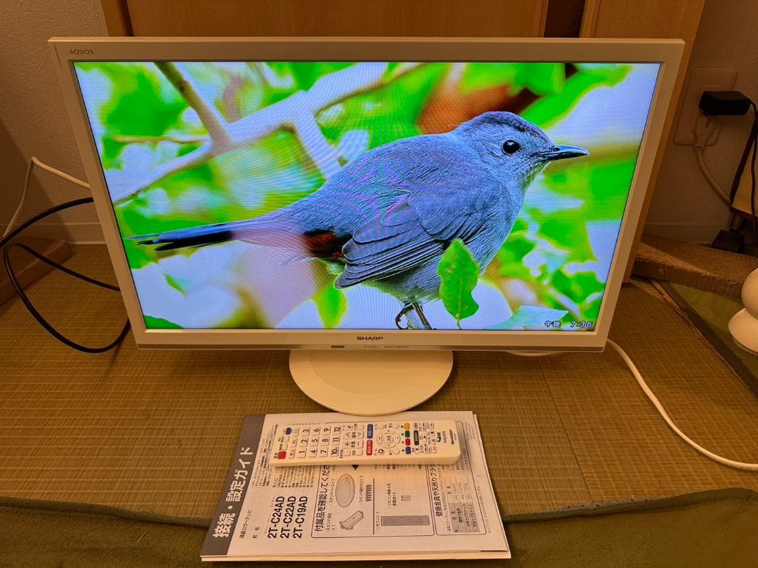 シャープ　SHARP　24型　テレビ　2T-C24AD　2018年　超極美品！