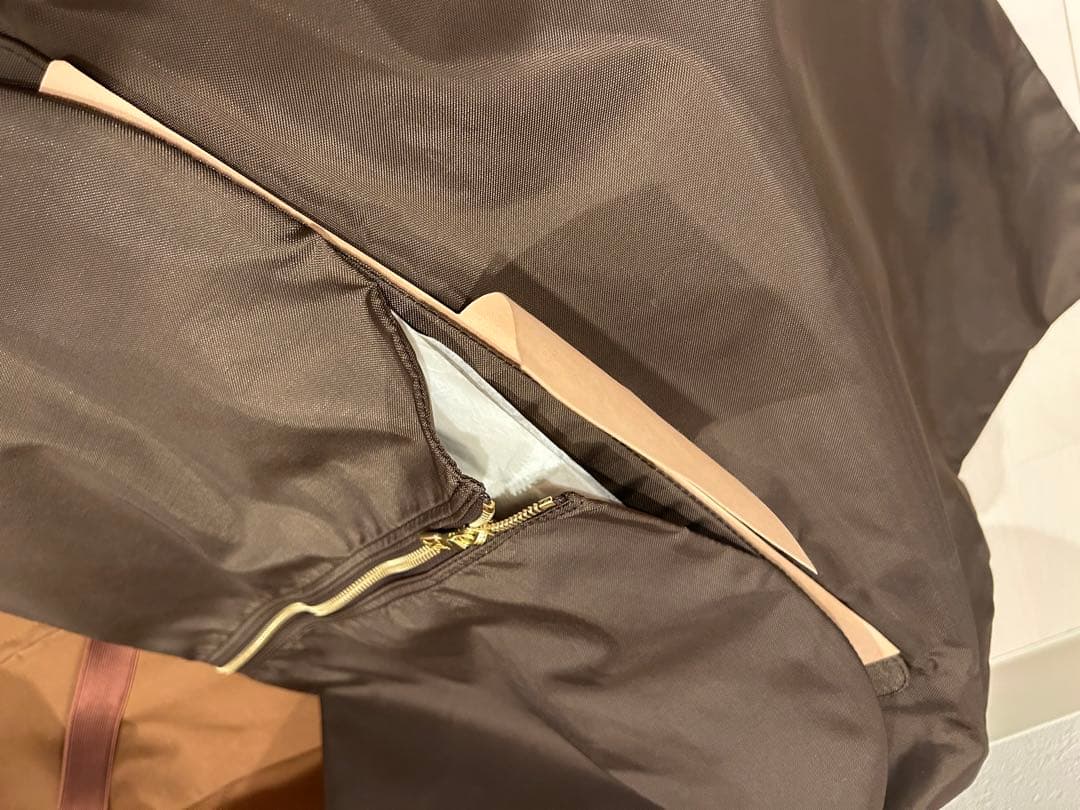 Louis Vuitton 新品ヶ所有 キャリーケース ペガス