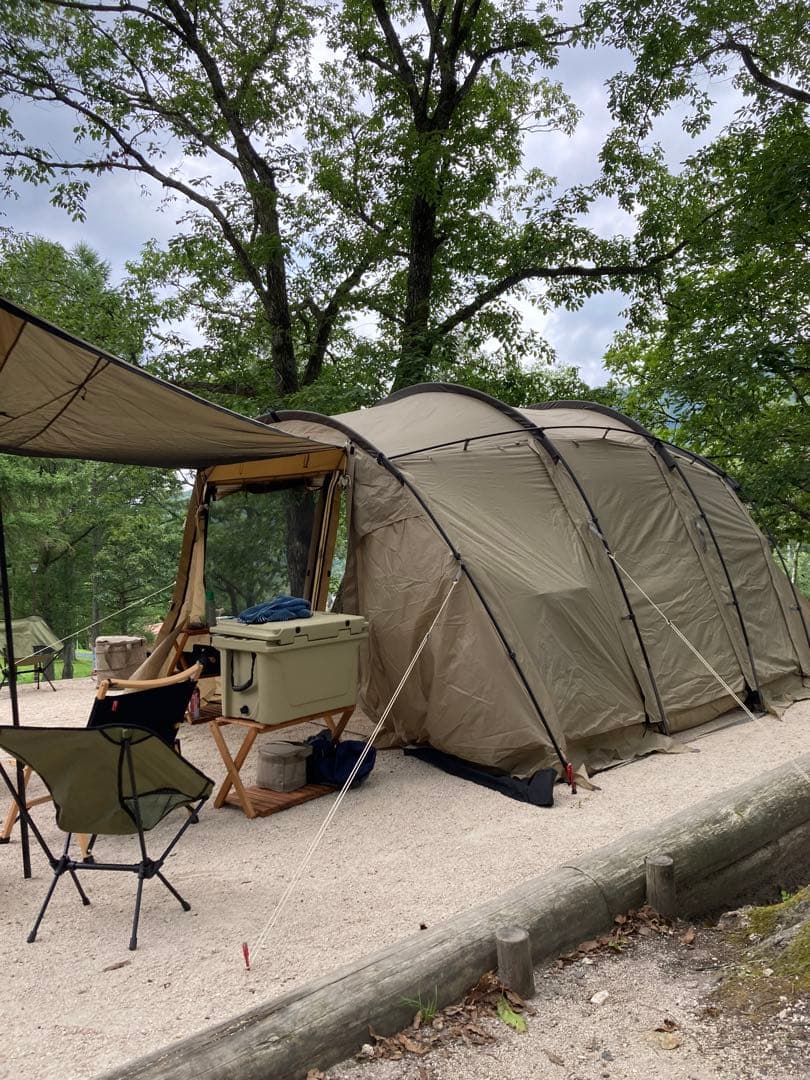 サバティカル　アルニカ