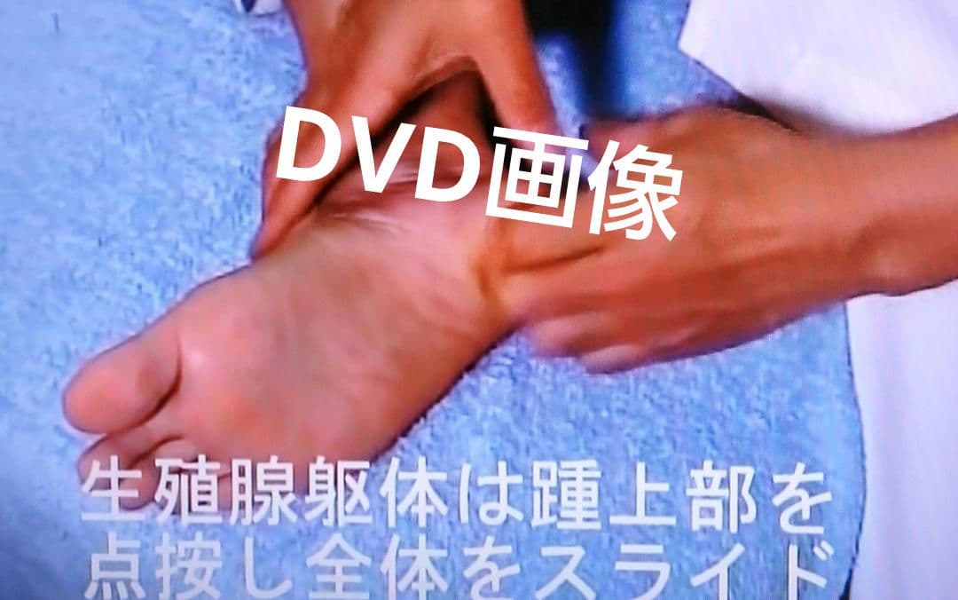 A6:足つぼ（DVD）学ぶ・足部反射療法自己練習用基礎編プロの教材set