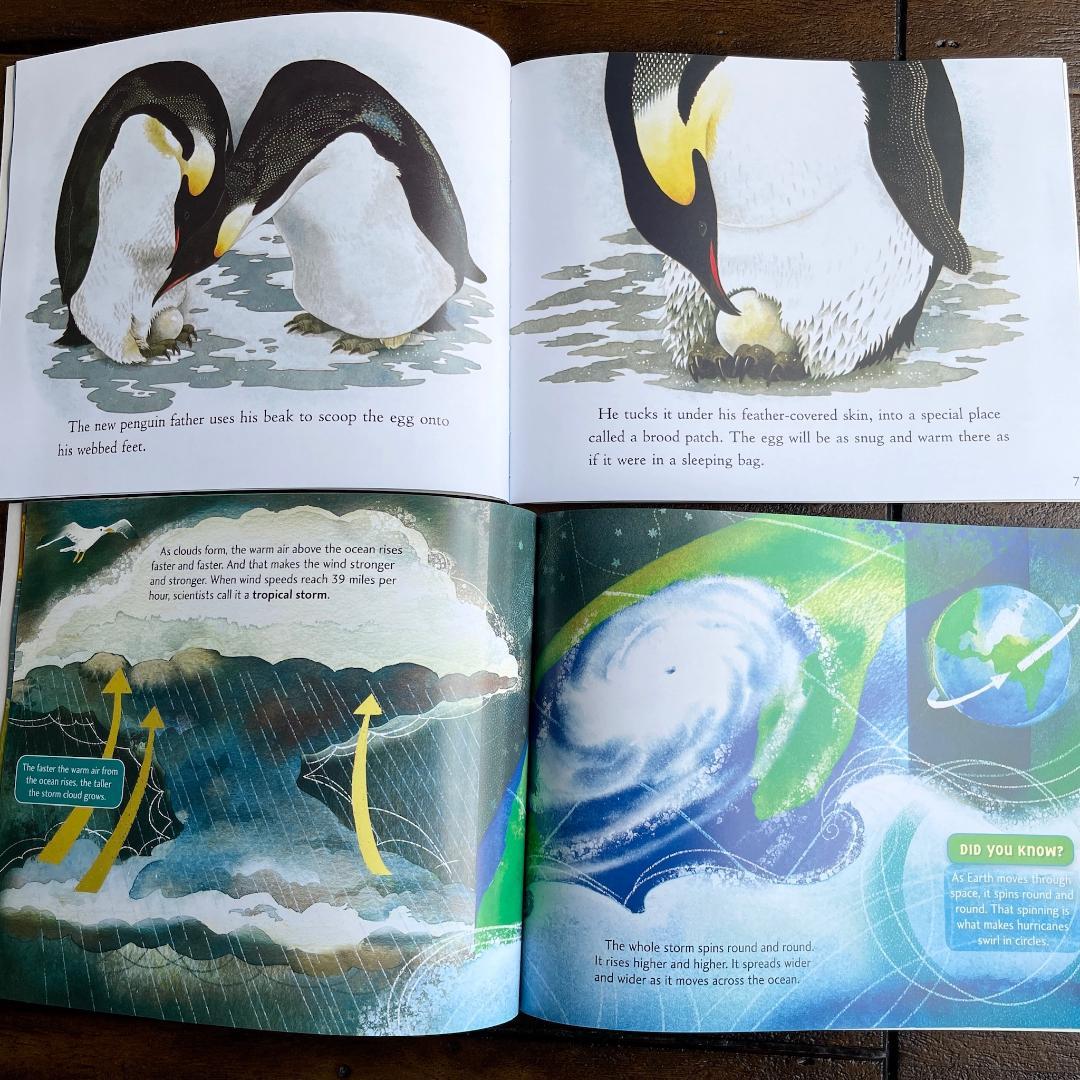 Let's Read and Find Out Science 130冊英語絵本