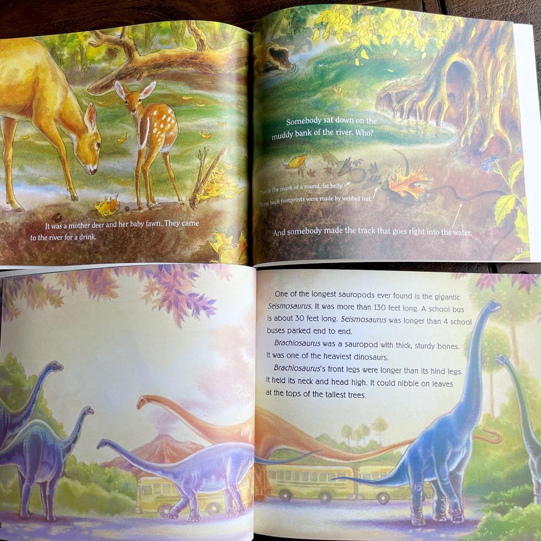 Let's Read and Find Out Science 130冊英語絵本