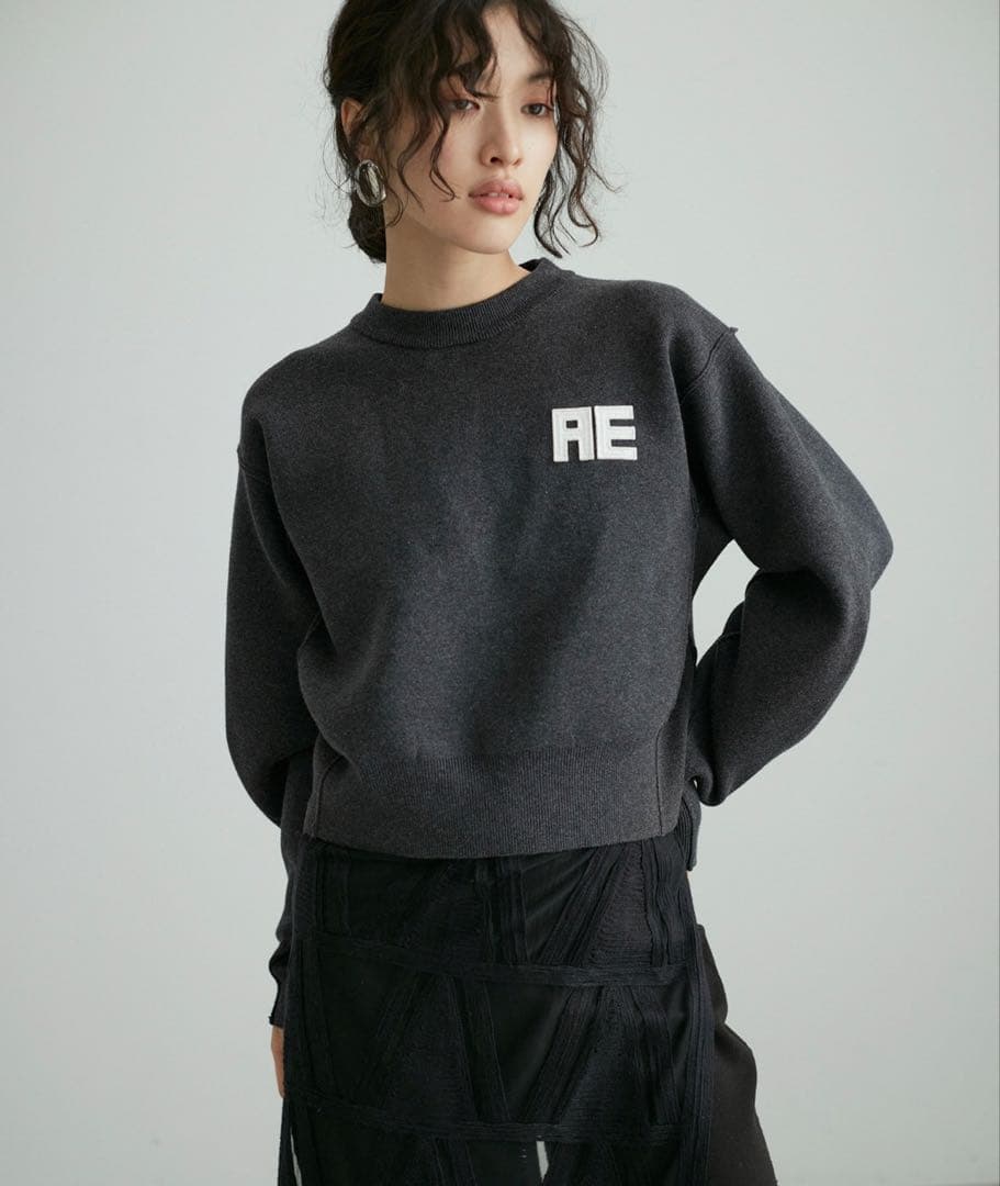 ADAM ET ROPE'フェルト刺しゅうニットプルオーバー