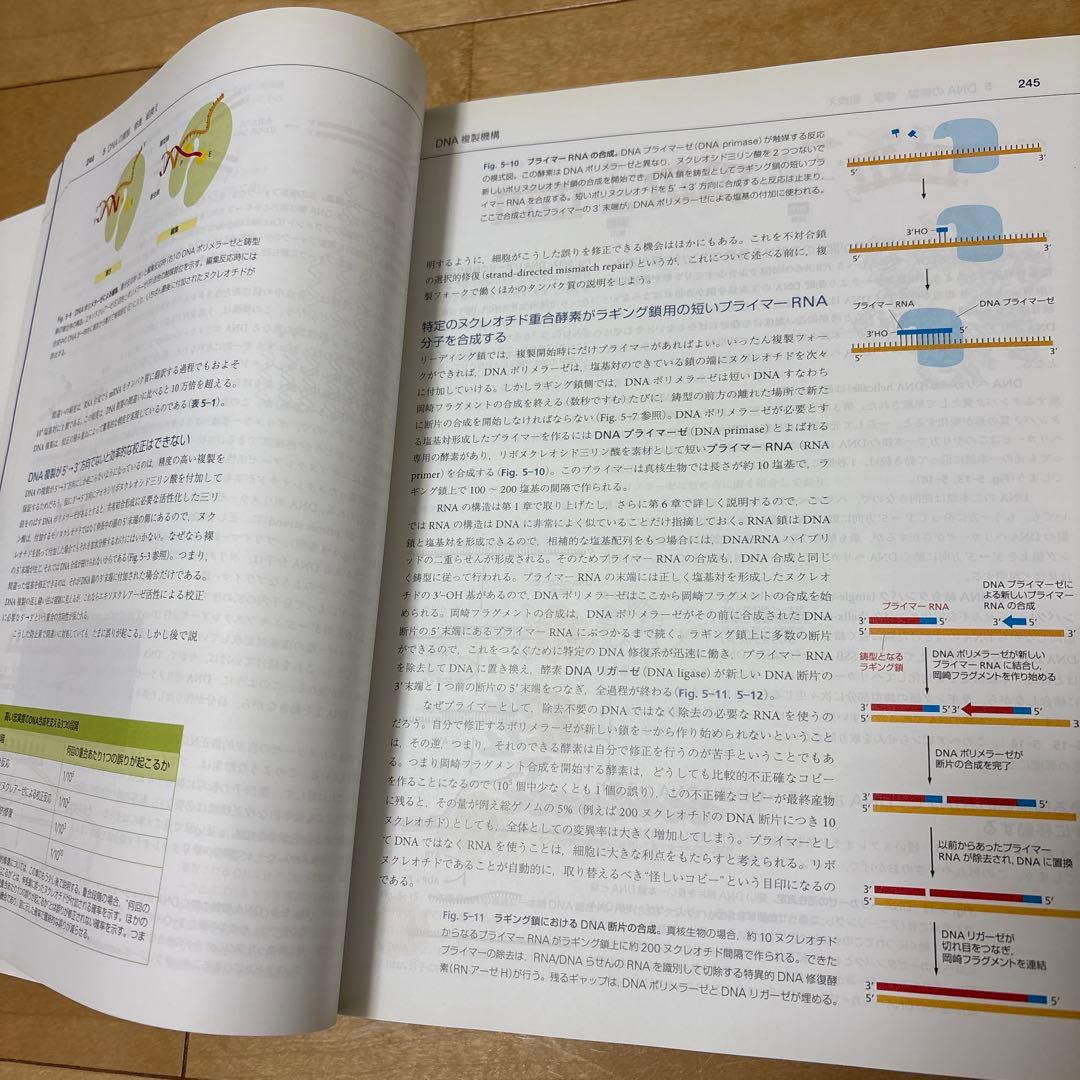 細胞の分子生物学
