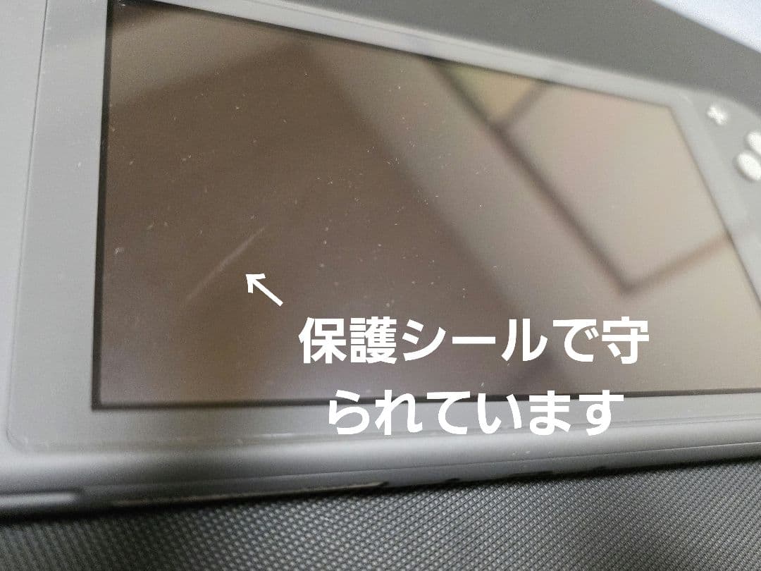 Nintendo Switch Lite グレー 本体 おまけ地球防衛軍3