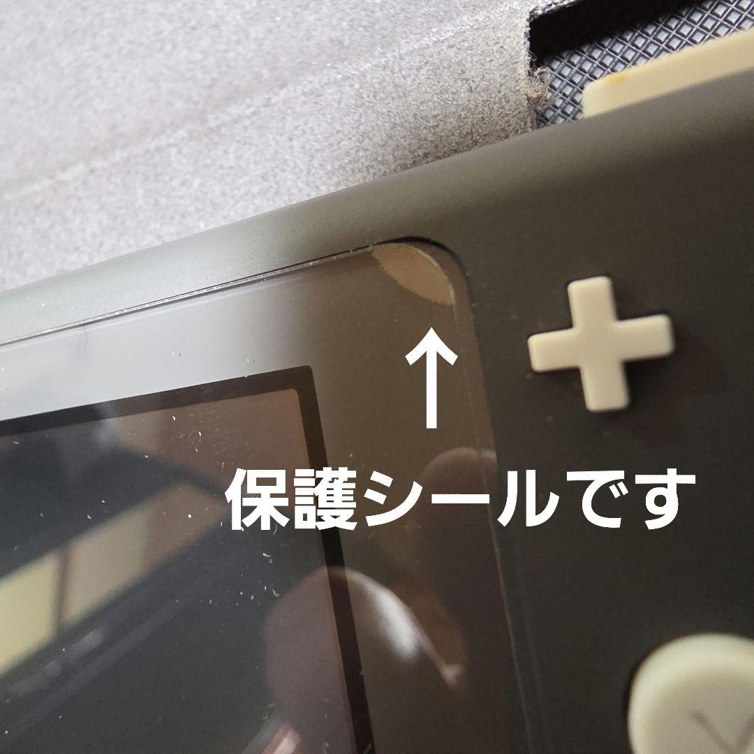 Nintendo Switch Lite グレー 本体 おまけ地球防衛軍3