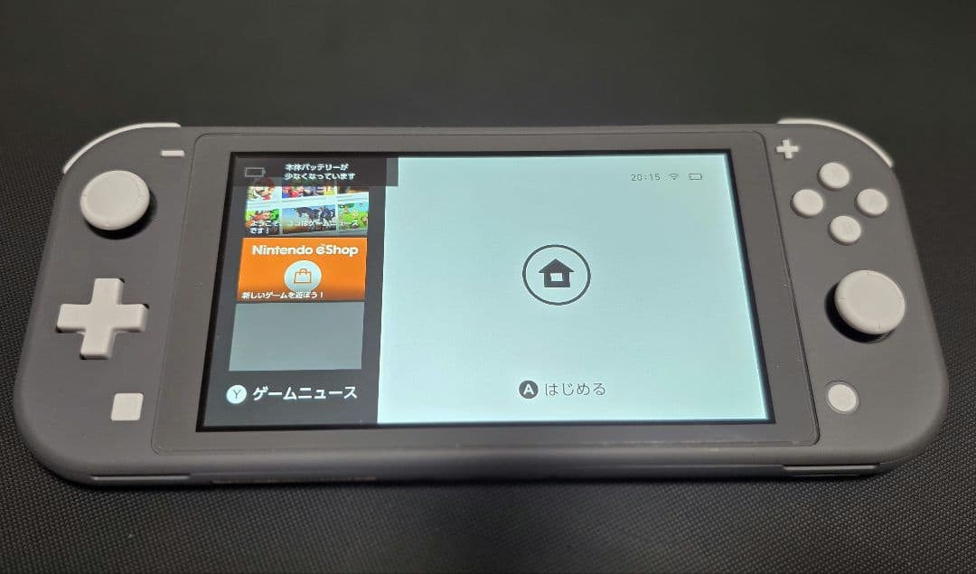 Nintendo Switch Lite グレー 本体 おまけ地球防衛軍3