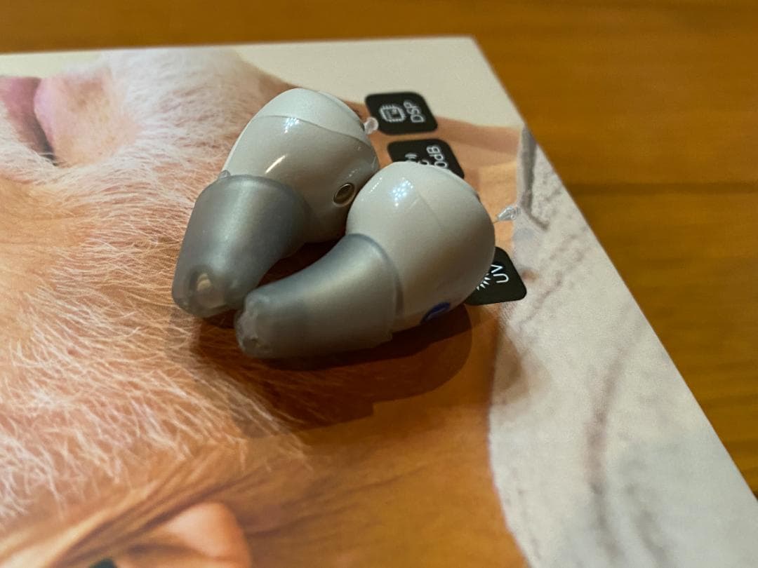 【ほぼ新品】Cearvol Nano 集音器 ワイヤレスイヤホン 簡易補聴器