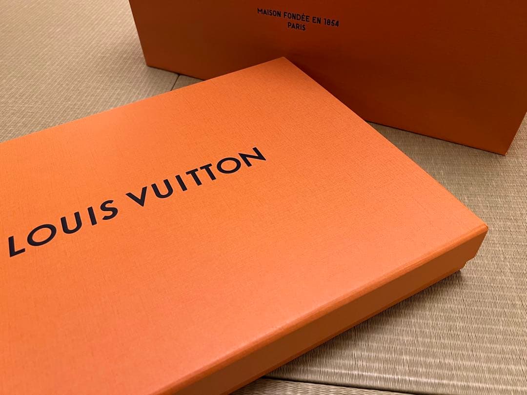 LOUIS VUITTON チェック柄マフラー 30cm x 180cm