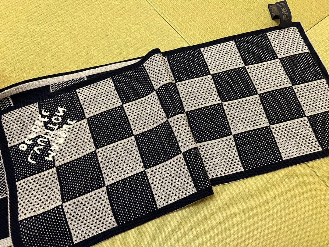 LOUIS VUITTON チェック柄マフラー 30cm x 180cm