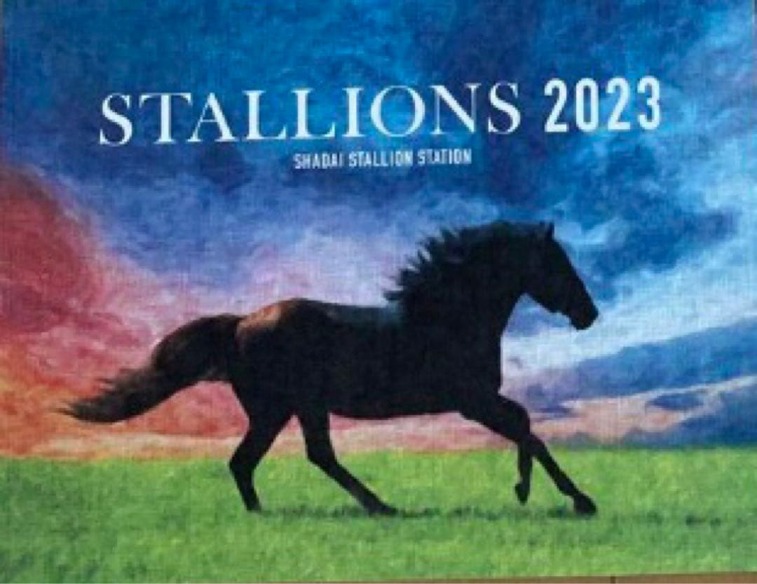 未開封2023年 社台サラブレッドクラブ サンデーサラブレッドクラブ カタログ