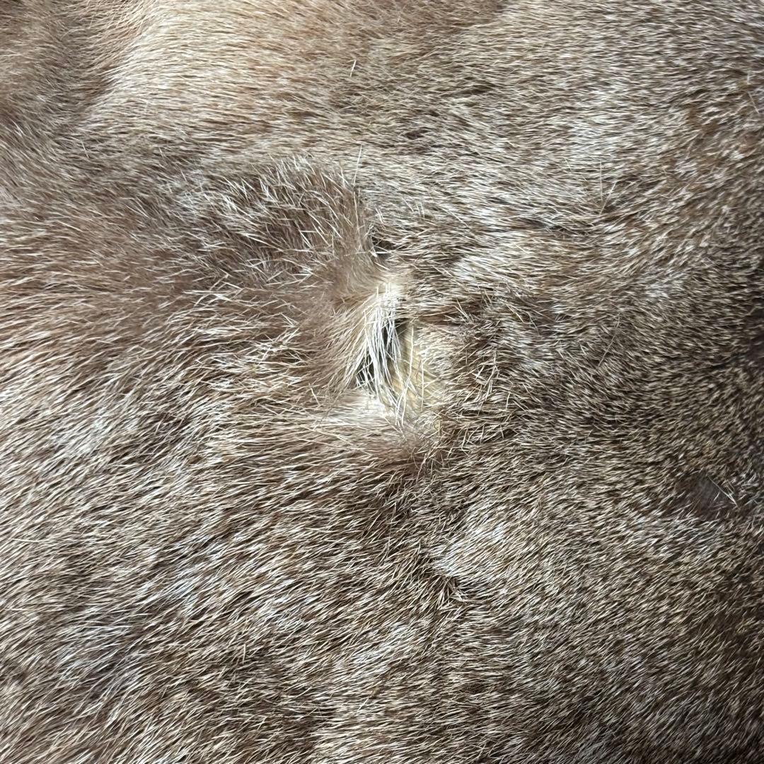 【猟師直送】天然 ニホンジカ 毛皮 鹿革 整理品 剥製 インテリア ラグ