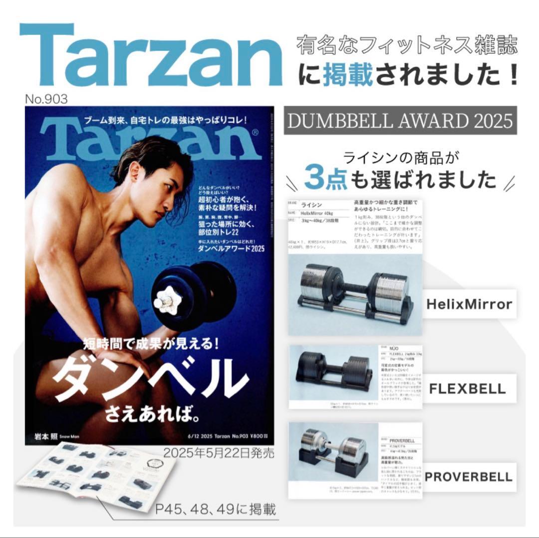 HelixMirror（ヘリックスミラー） 40kg 1個 ライシン