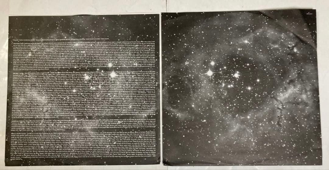 未使用 2LP Killah Priest - Heavy Mental