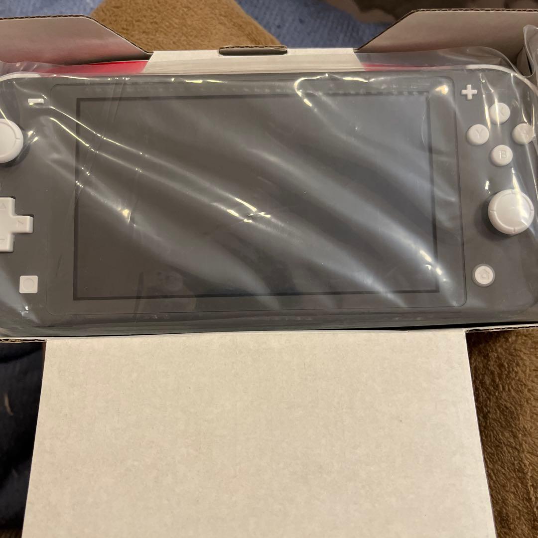 Nintendo Switch Nintendo switch Lite Gray