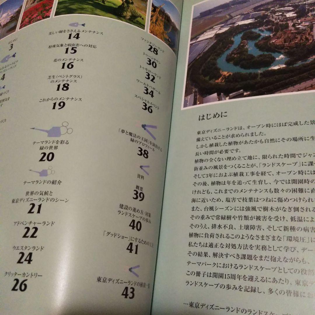 Landscape of Tokyo Disneyland(最終値下げ)