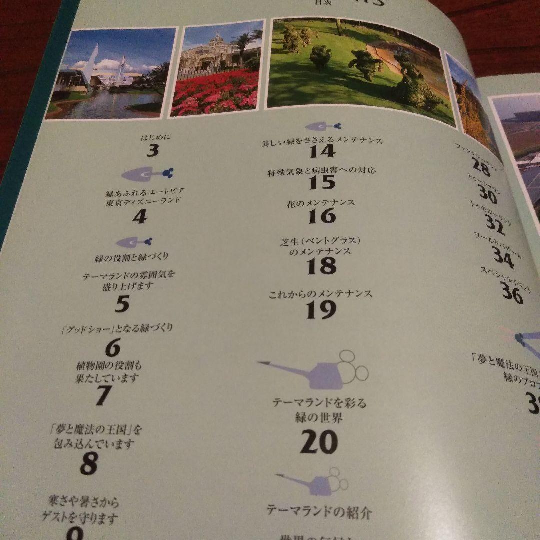 Landscape of Tokyo Disneyland(最終値下げ)