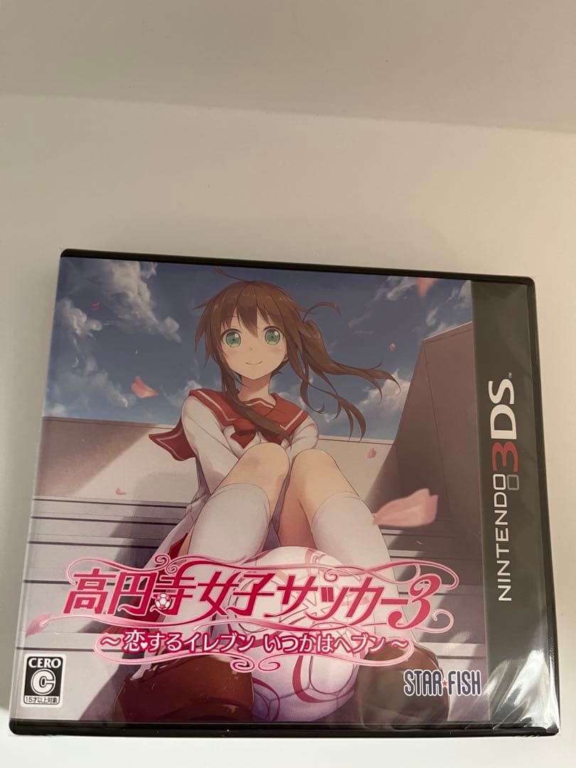 Nintendo3ds 高円寺女子サッカー3 〜恋するイレブン いつかはヘブン〜