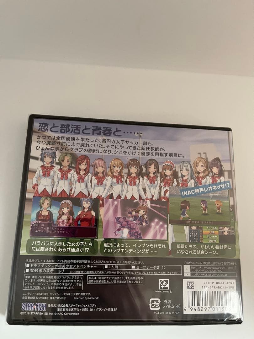 Nintendo3ds 高円寺女子サッカー3 〜恋するイレブン いつかはヘブン〜
