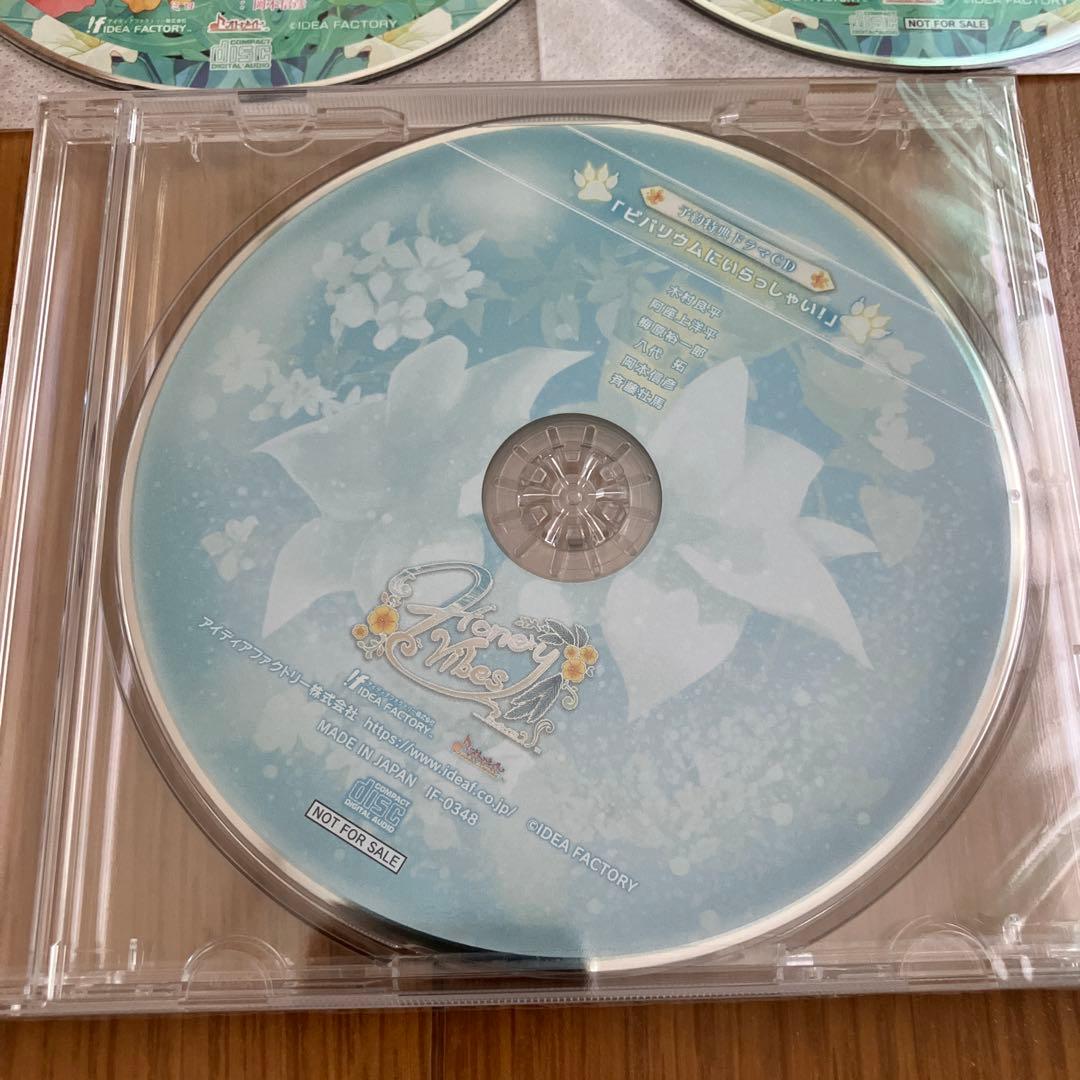 Honey Vibes 特装版 ステラセット