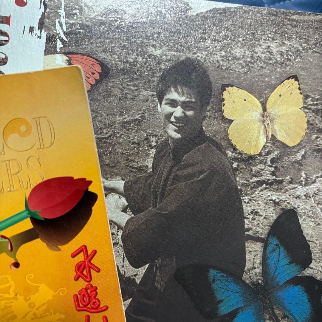 ■禁断の書籍■ブルース・リー Bruce Lee 燃えよドラゴン 死亡遊戯