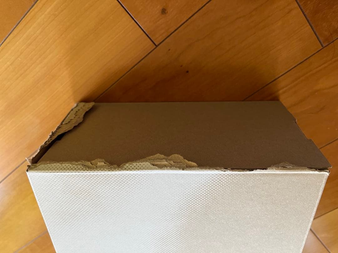 onシュ-ズ　THE ROGER CENTER COURT 25 サイズ