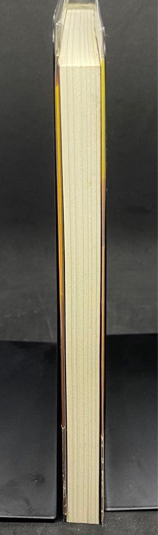 超権力グローバル・ゲーム　笹川英資