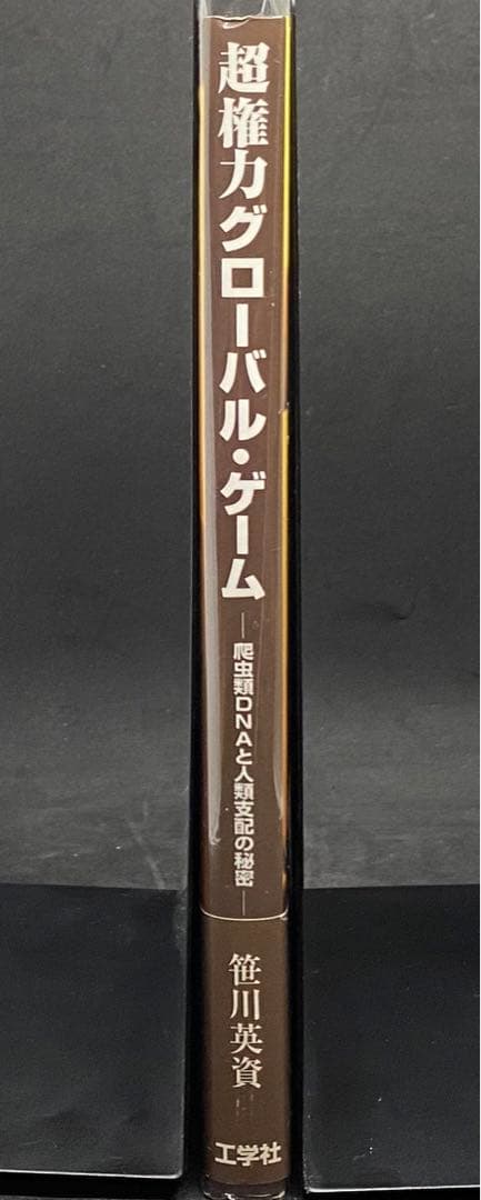 超権力グローバル・ゲーム　笹川英資