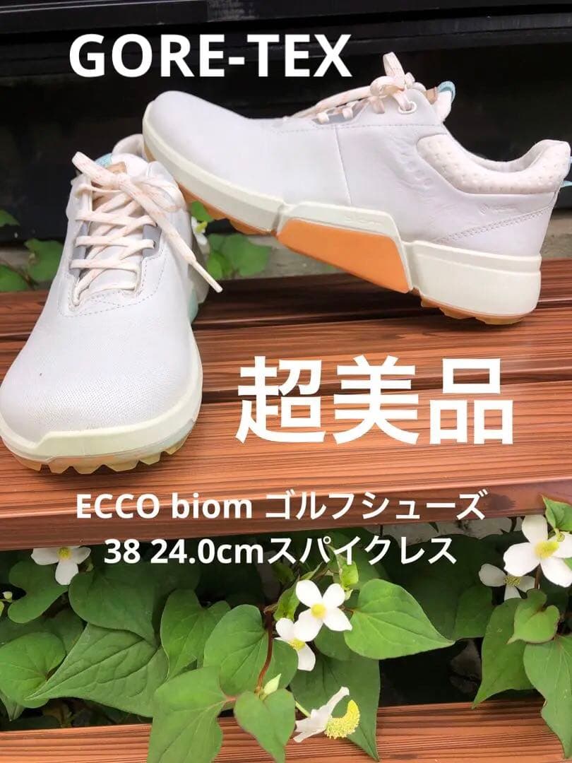 334番 超美品ECCO biom ゴルフシューズ38 24.0cmスパイクレス