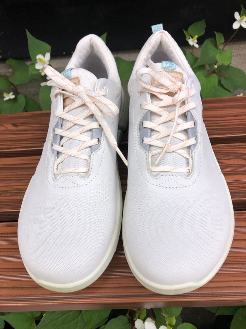 334番 超美品ECCO biom ゴルフシューズ38 24.0cmスパイクレス