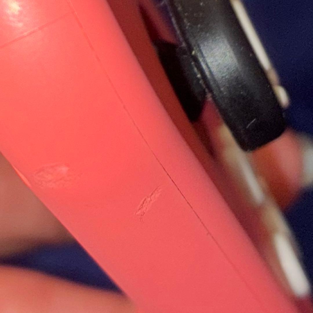 Nintendo switch lite 本体　あつ森　マイクラ　たまごっち