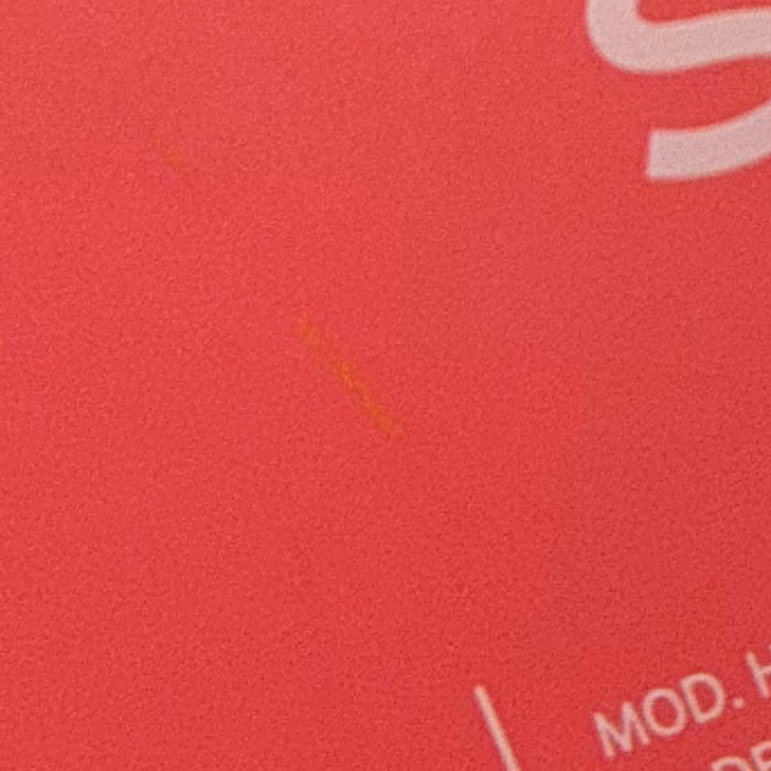 Nintendo switch lite 本体　あつ森　マイクラ　たまごっち