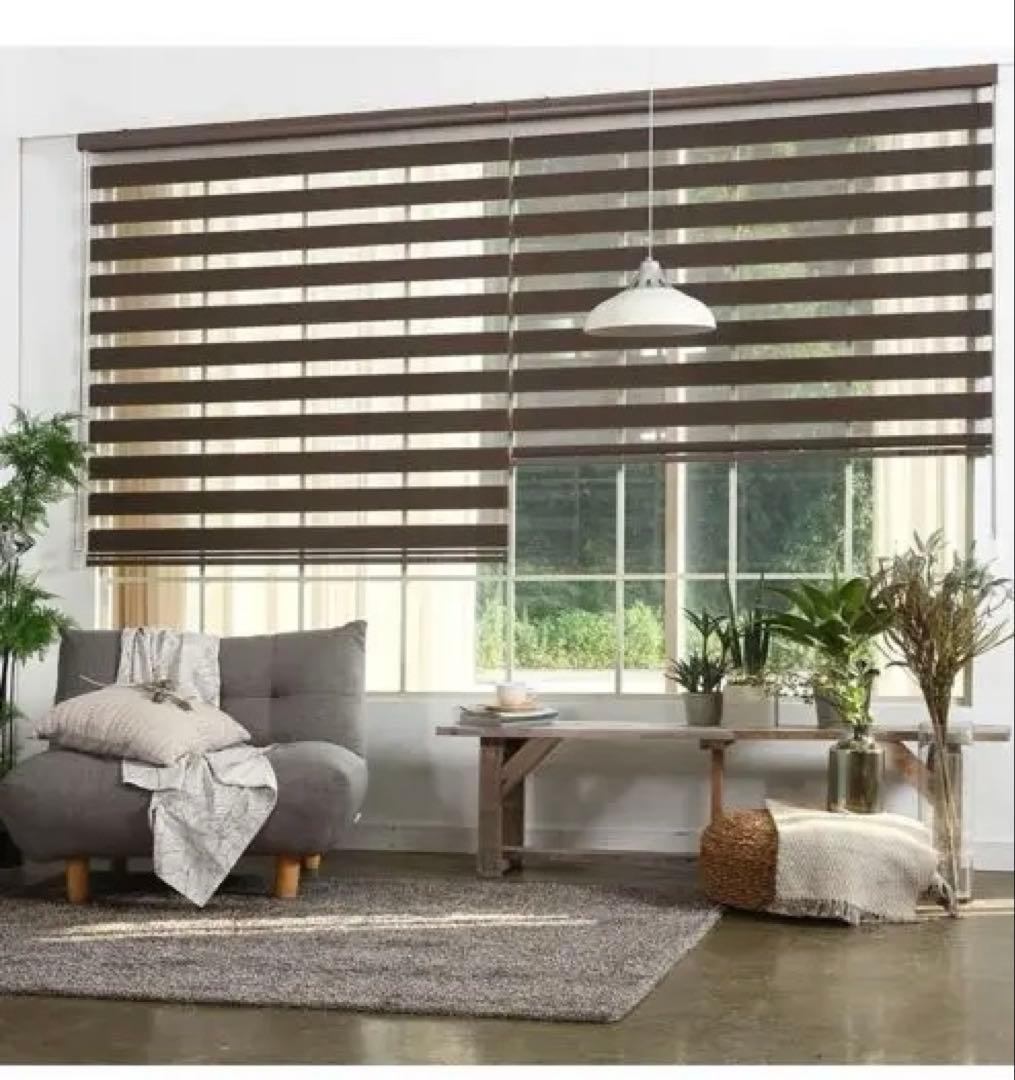 eeHAUS ロールスクリーン ロールカーテン W170×H90cm