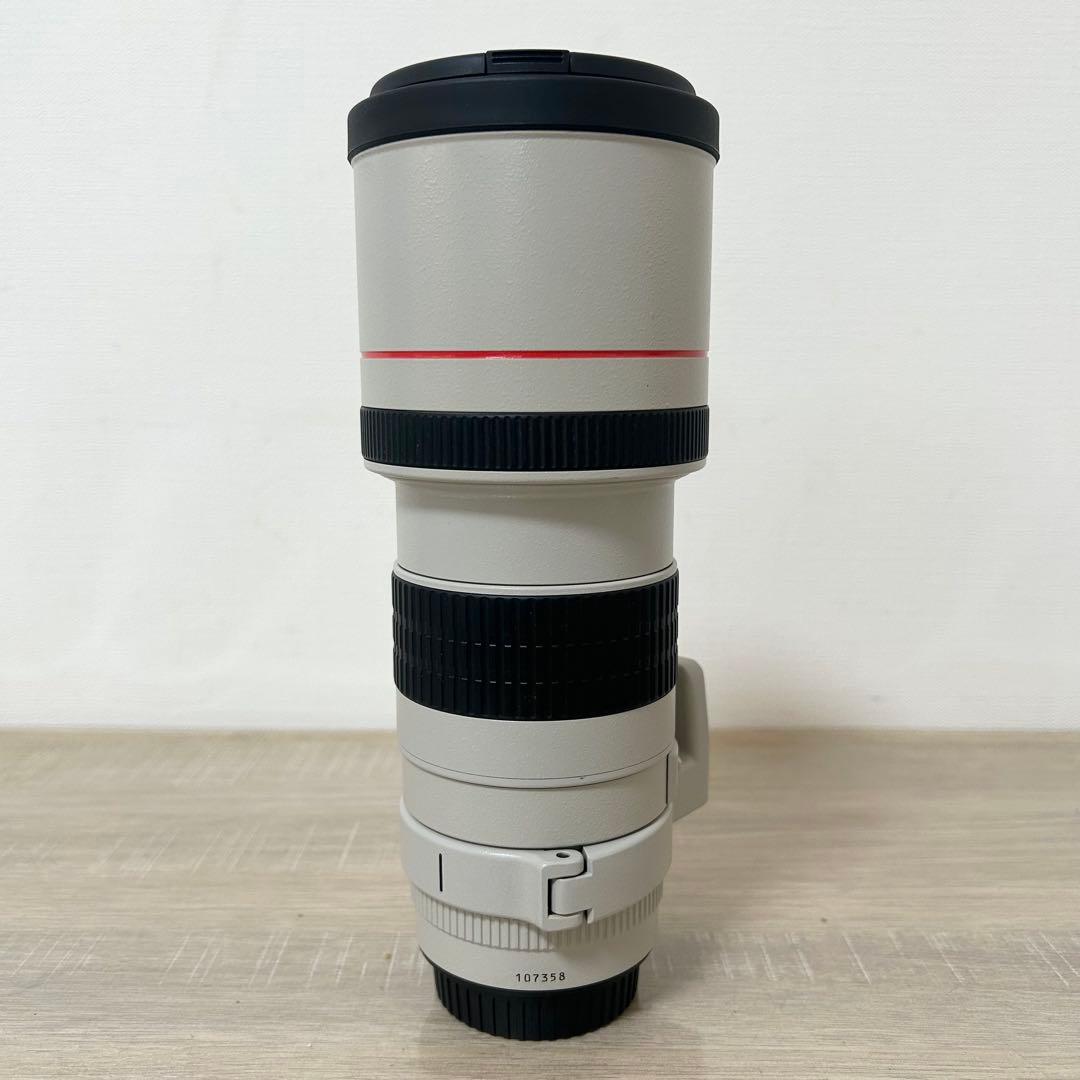 Canon キャノン LENS EF 300mm 1:4 L 望遠レンズ