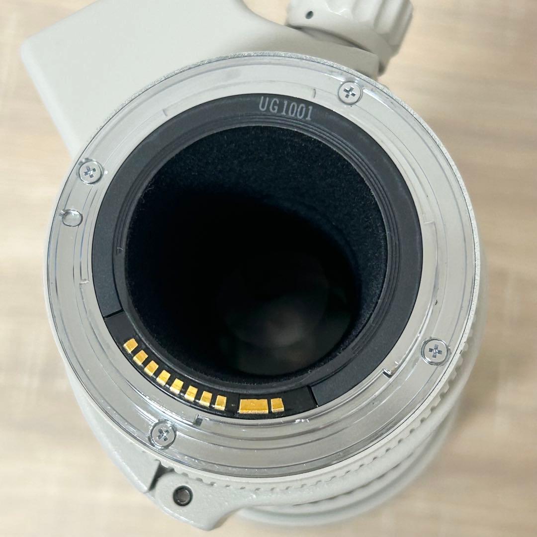 Canon キャノン LENS EF 300mm 1:4 L 望遠レンズ