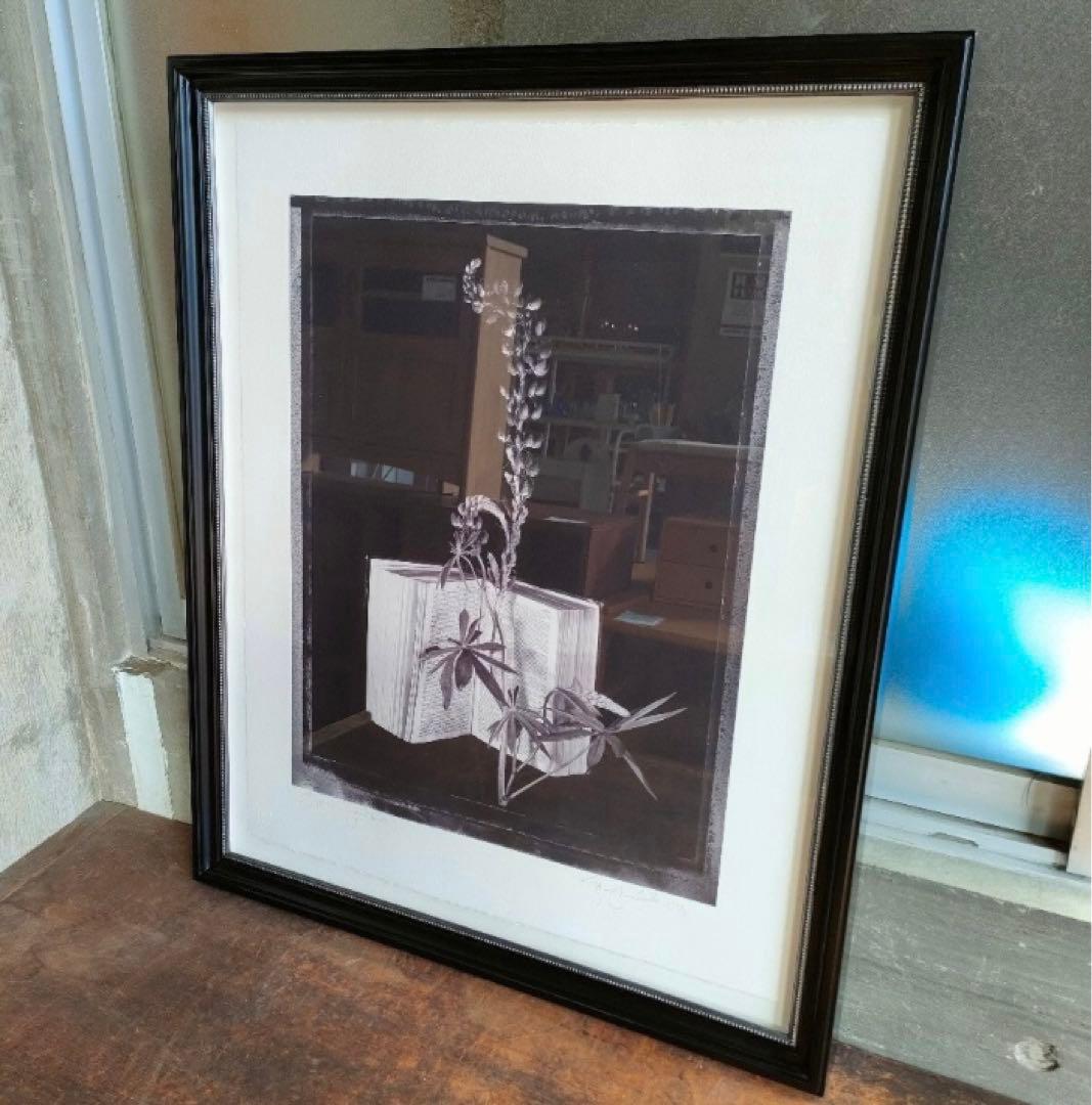 Vaughn Sills 「Beyond Words」アートフォト　写真