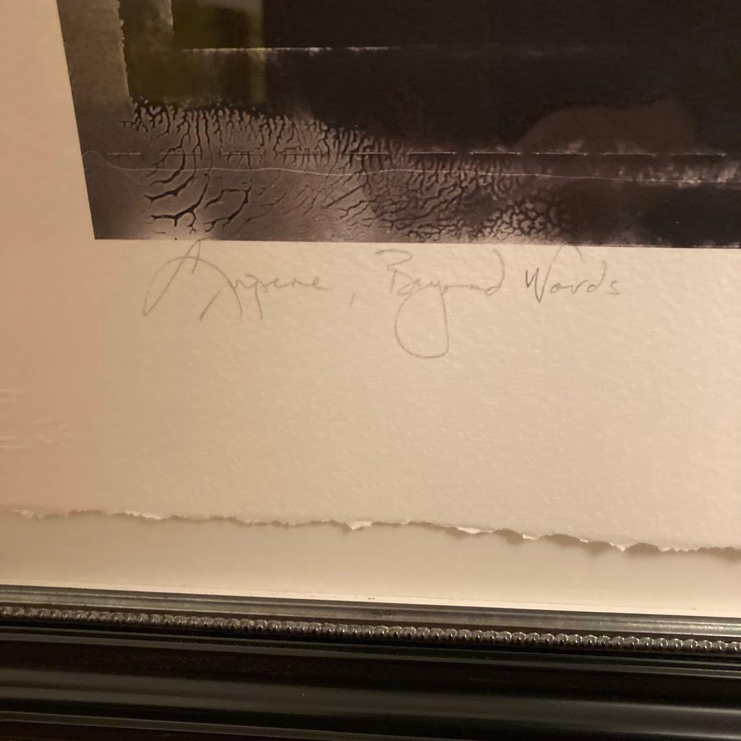 Vaughn Sills 「Beyond Words」アートフォト　写真