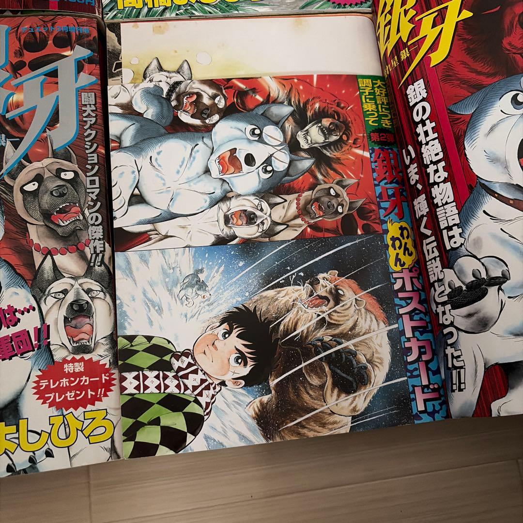 銀牙流れ星銀　総集編　6冊　ポスター　ポストカード付き　高橋よしひろ　漫画　雑誌