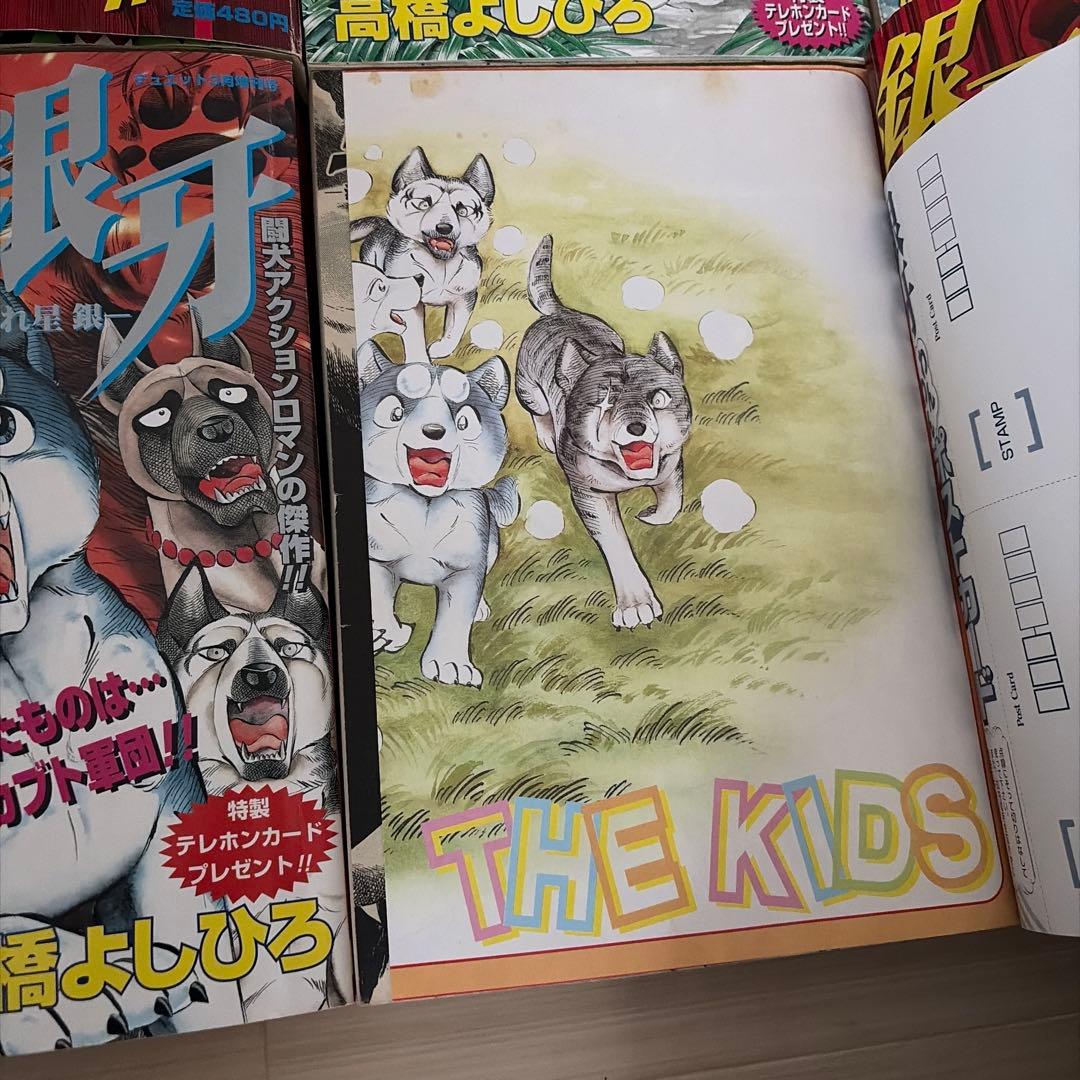 銀牙流れ星銀　総集編　6冊　ポスター　ポストカード付き　高橋よしひろ　漫画　雑誌