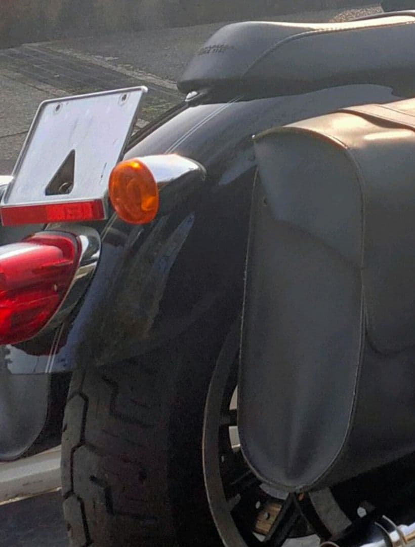 スポーツスター　レイバックナンバーステー テールランプ、ウインカーセット