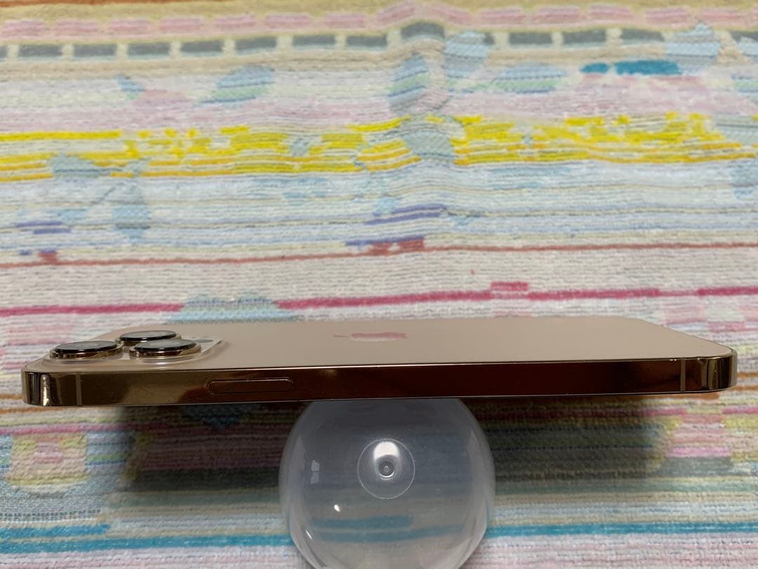 Apple iPhone 13 Pro Max 修理不可