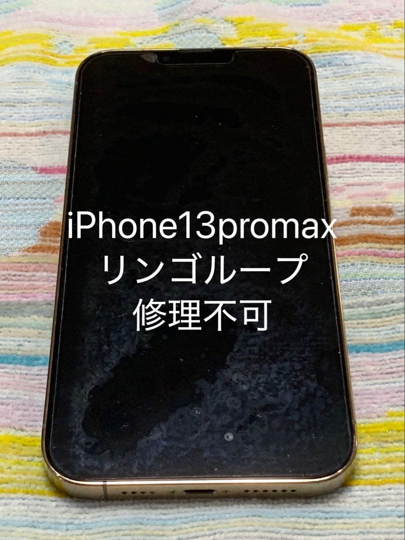 Apple iPhone 13 Pro Max 修理不可