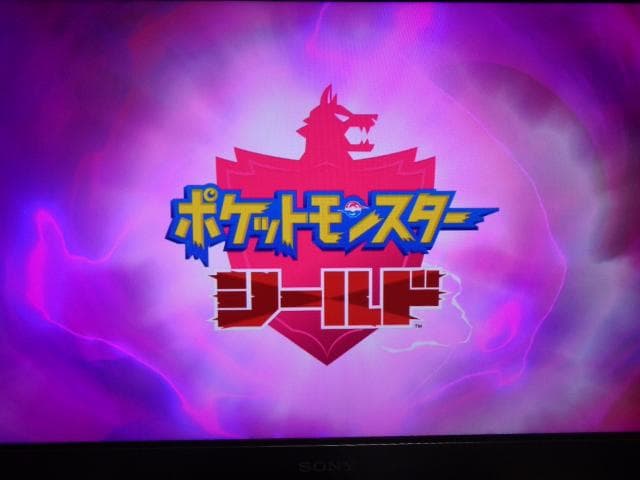 ポケットモンスター シールド + エキスパンションパス 動作可能
